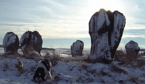 Duddo Stone Circle